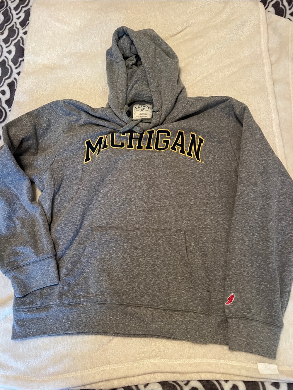 🎓Michigan State College  University hoodie Gray🎓